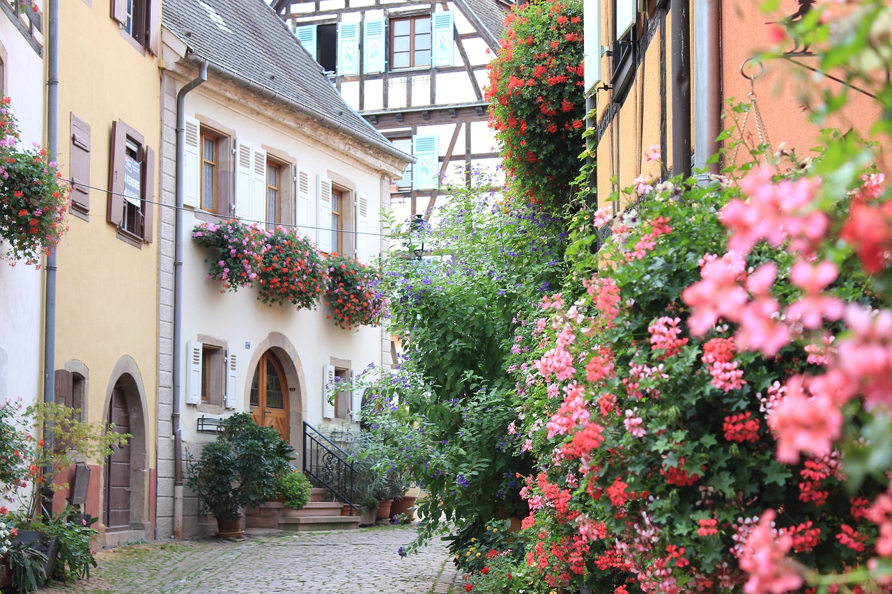 10 activities to see and do in alsace with children in one week 7