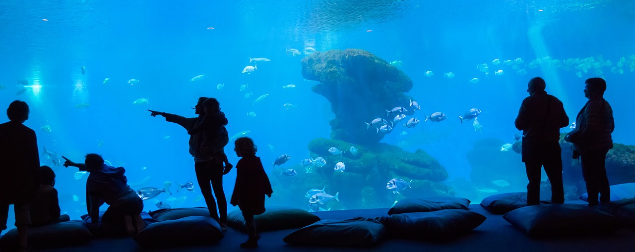 10 activities to see and do in istanbul with kids in one week 3