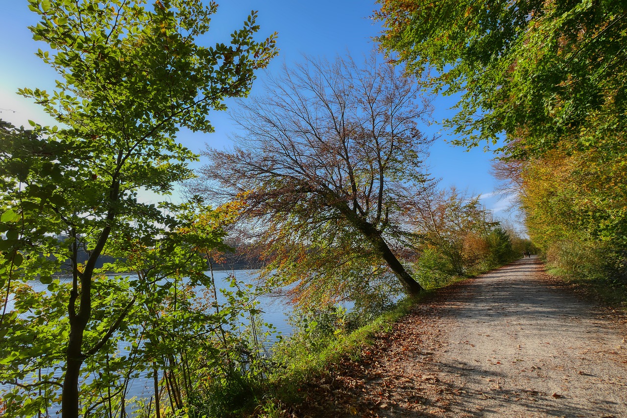 10 activities to see and do in ourense with children in one week 3