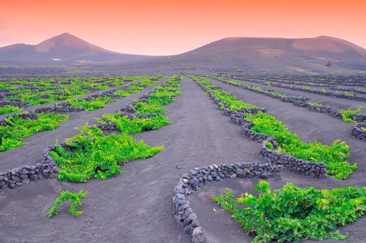 10 things to see and do in lanzarote in one week