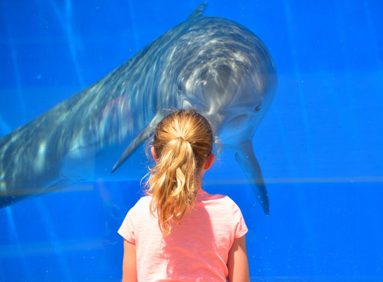 10 things you can see and enjoy in benalmadena with kids in one week 6