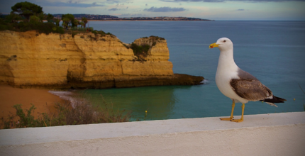 6 activities to see and enjoy in albufeira with children in one week