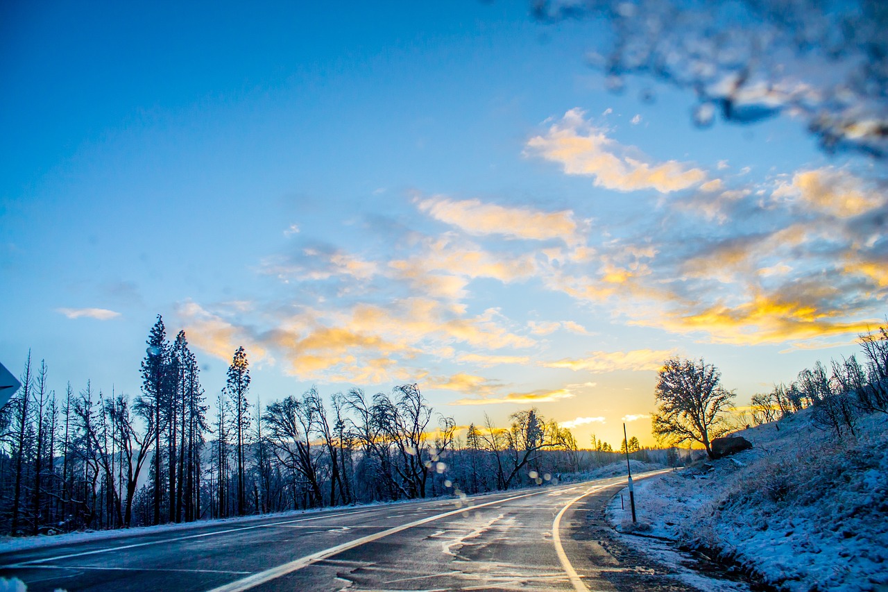 7 activities to see and do with children in winter in 5 days 8