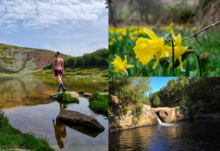 7 pueblos en la via hacia soria para visitar en verano