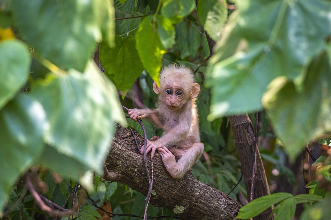 7 things to do and see in baracoa with your kids in one week 2