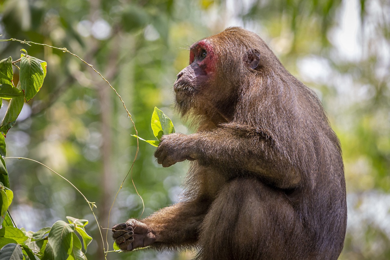 8 activities to do and see in brazil with kids in one week 2