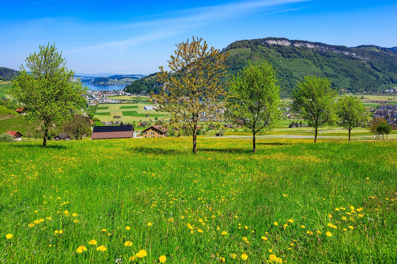 8 pueblos en la via hacia lugo para visitar en primavera 2