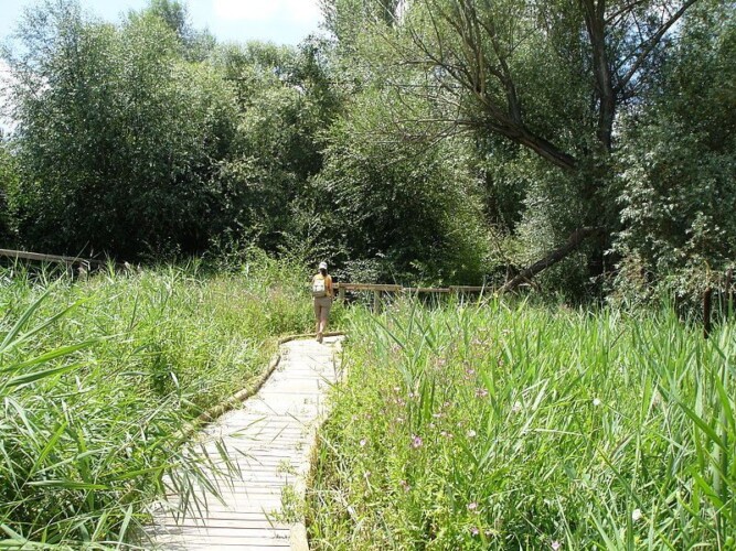 8 pueblos en la via hacia valladolid para visitar en verano