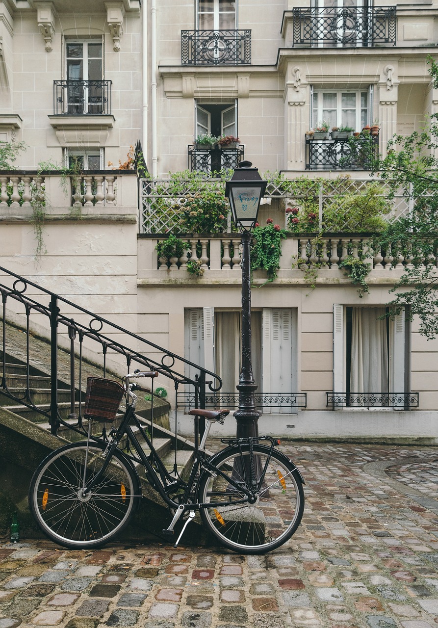 8 things to do and see in montmartre with kids in one week 3