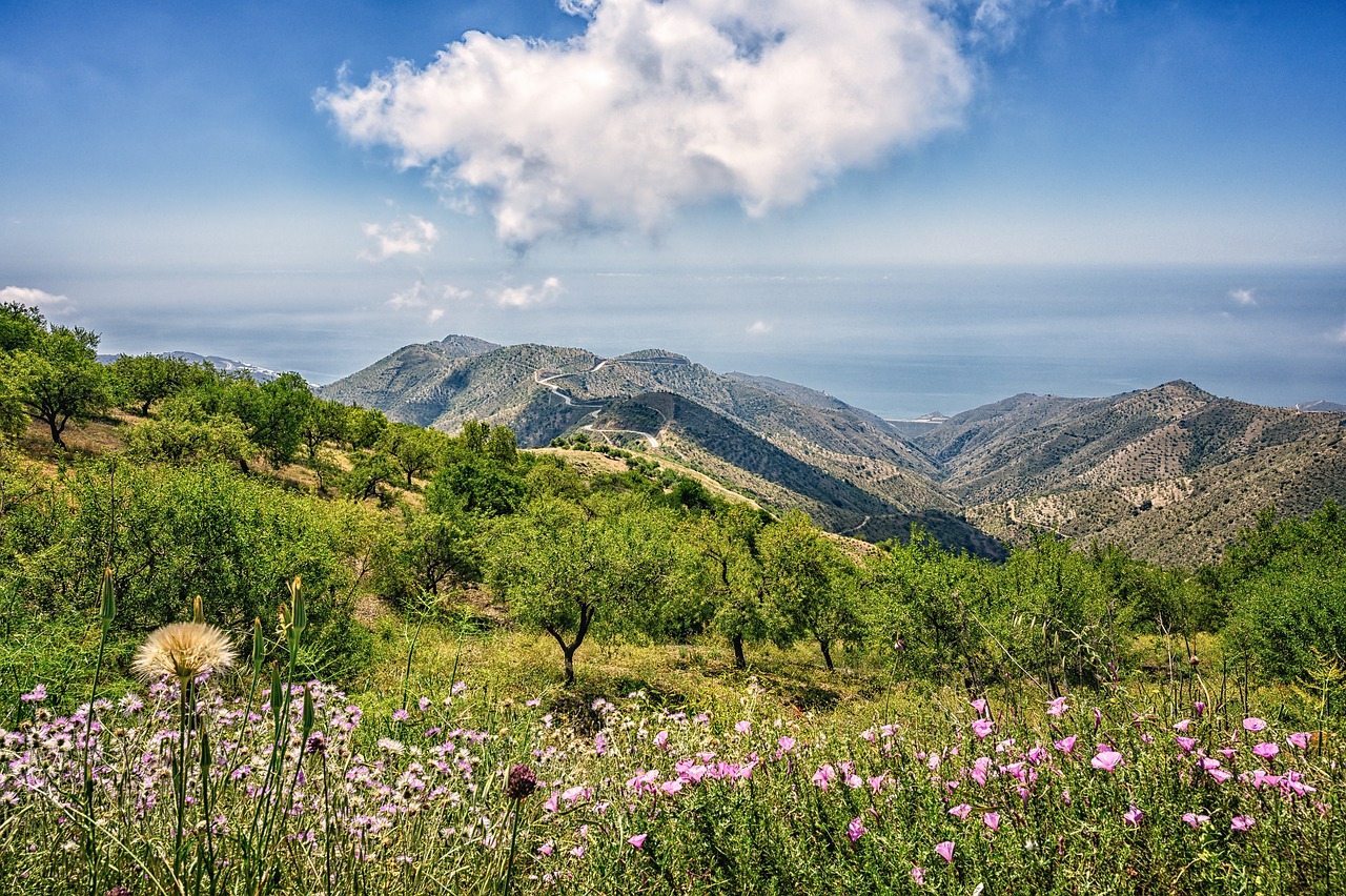 8 things to see and enjoy in andalusia with children in one week