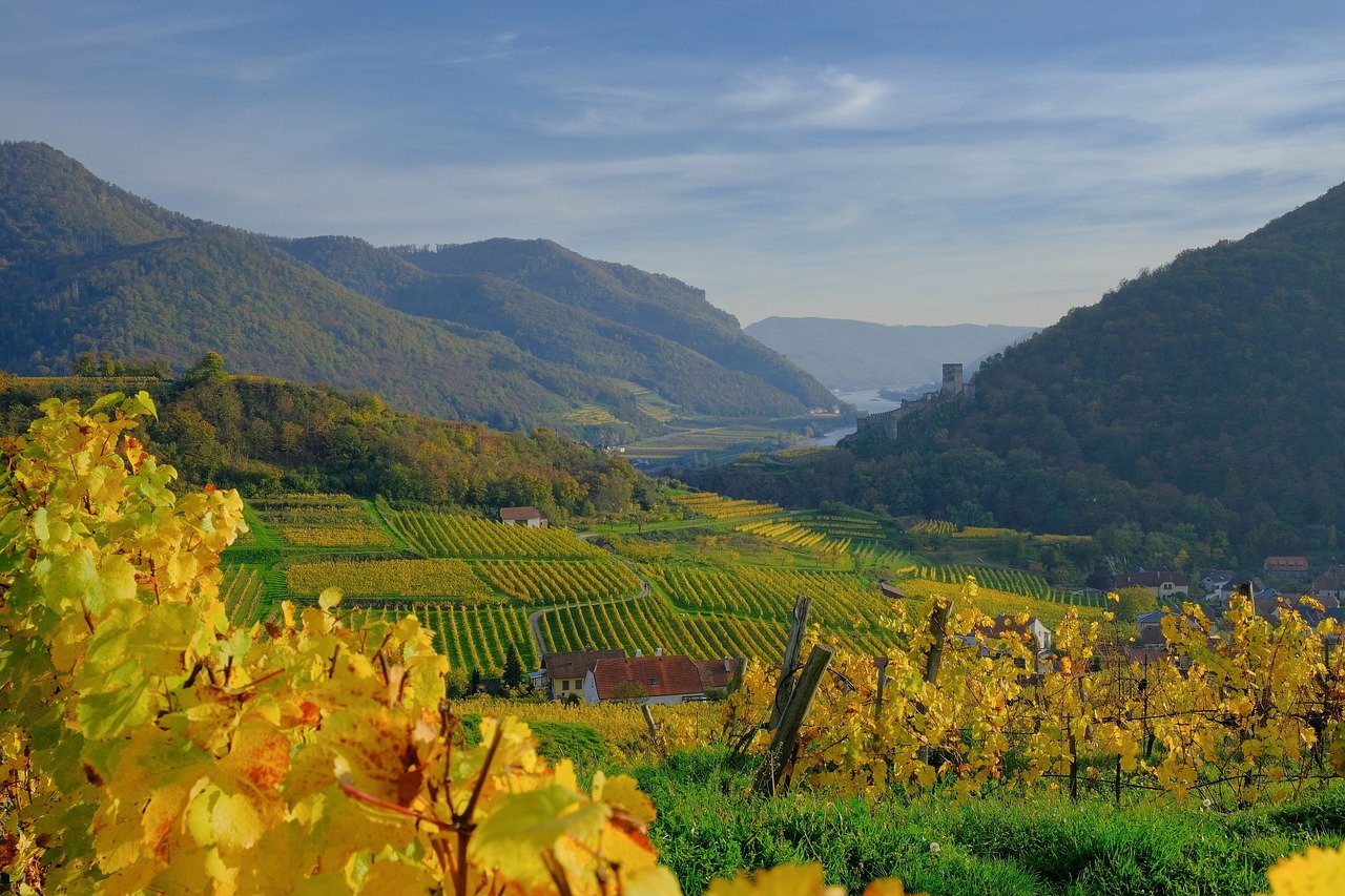 albatana enchanting village among vineyards