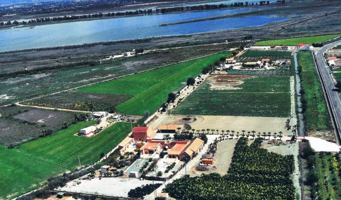 almoradi fertile land for orchard and palm trees