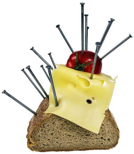 anana disfruta del famoso queso idiazabal de sus rebanos 16