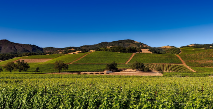 arraia maeztu valle del vino queso y tradiciones ancestrales