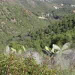 Benimarfull - Naturaleza Viva en la Sierra de Gallinera