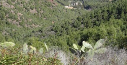 benimarfull living nature in the sierra de gallinera