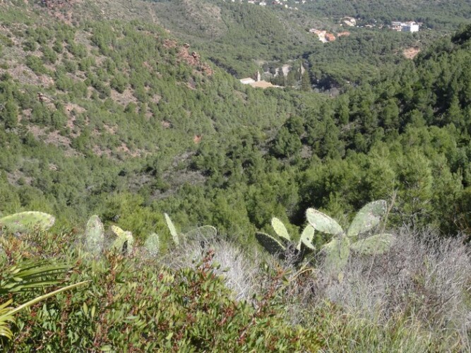 benimarfull living nature in the sierra de gallinera