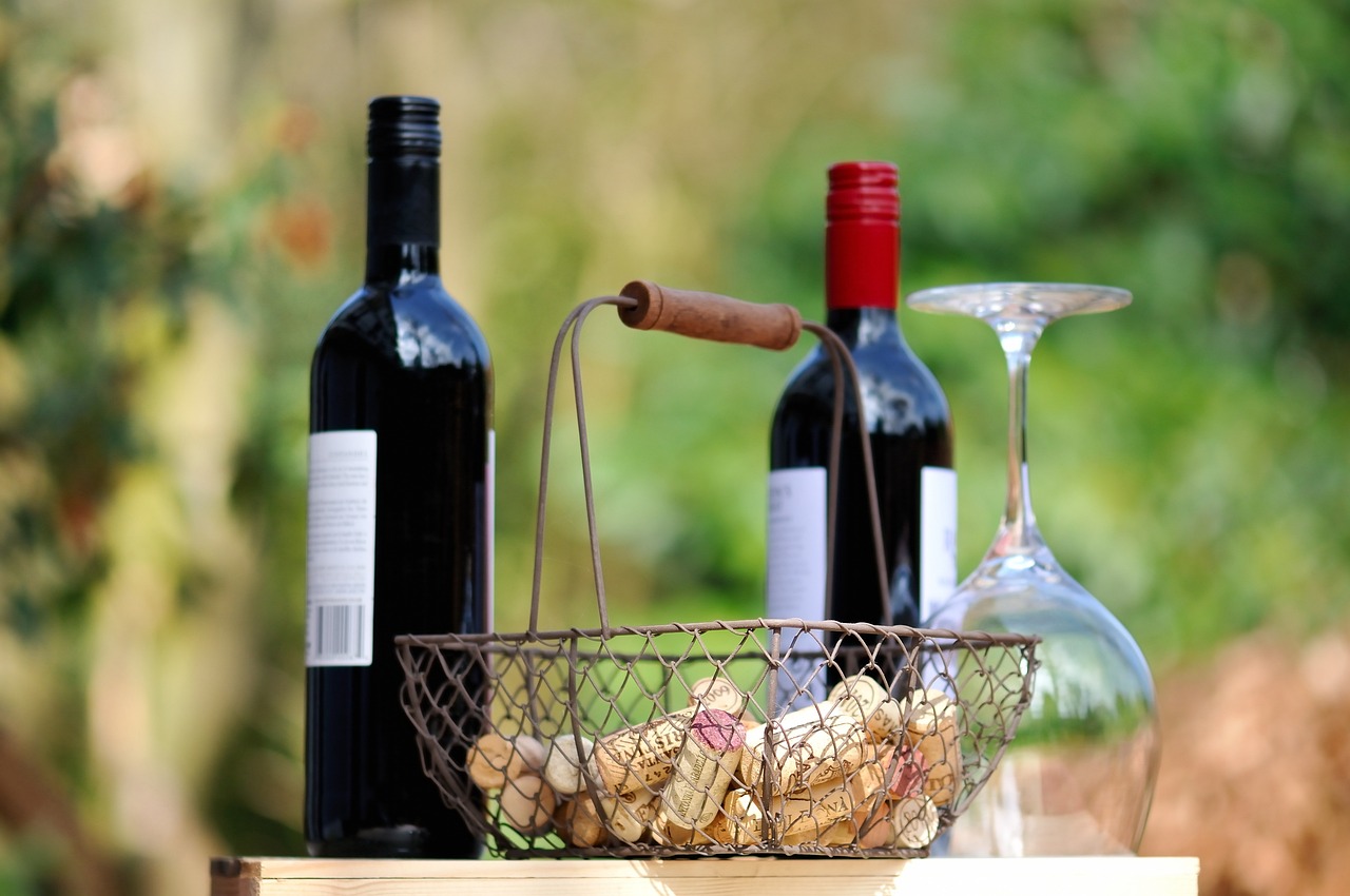 cotillas tierras de vinos con personalidad 13