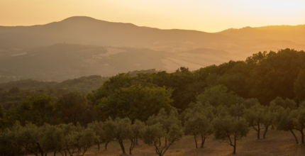 higueruela beautiful landscapes among olive groves and vineyards