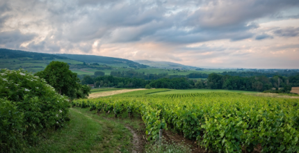 mahora corners of peace among vineyards and olive groves