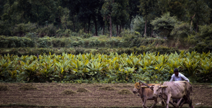 negreira es un encantador y tranquilo pueblo rural ubicado entre los rios tambre y xallas