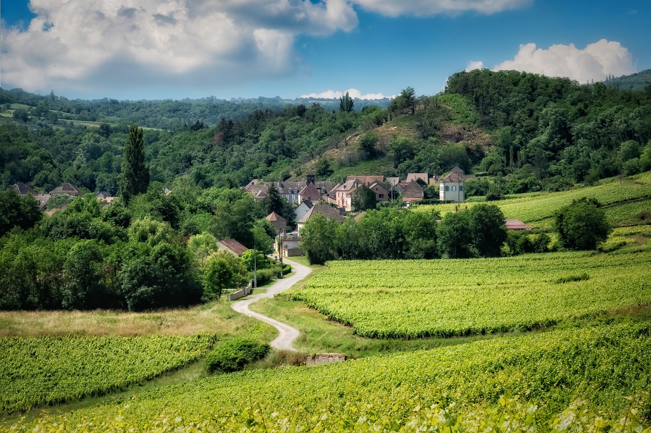 o pino tranquilidad y naturaleza a un paso de santiago 2