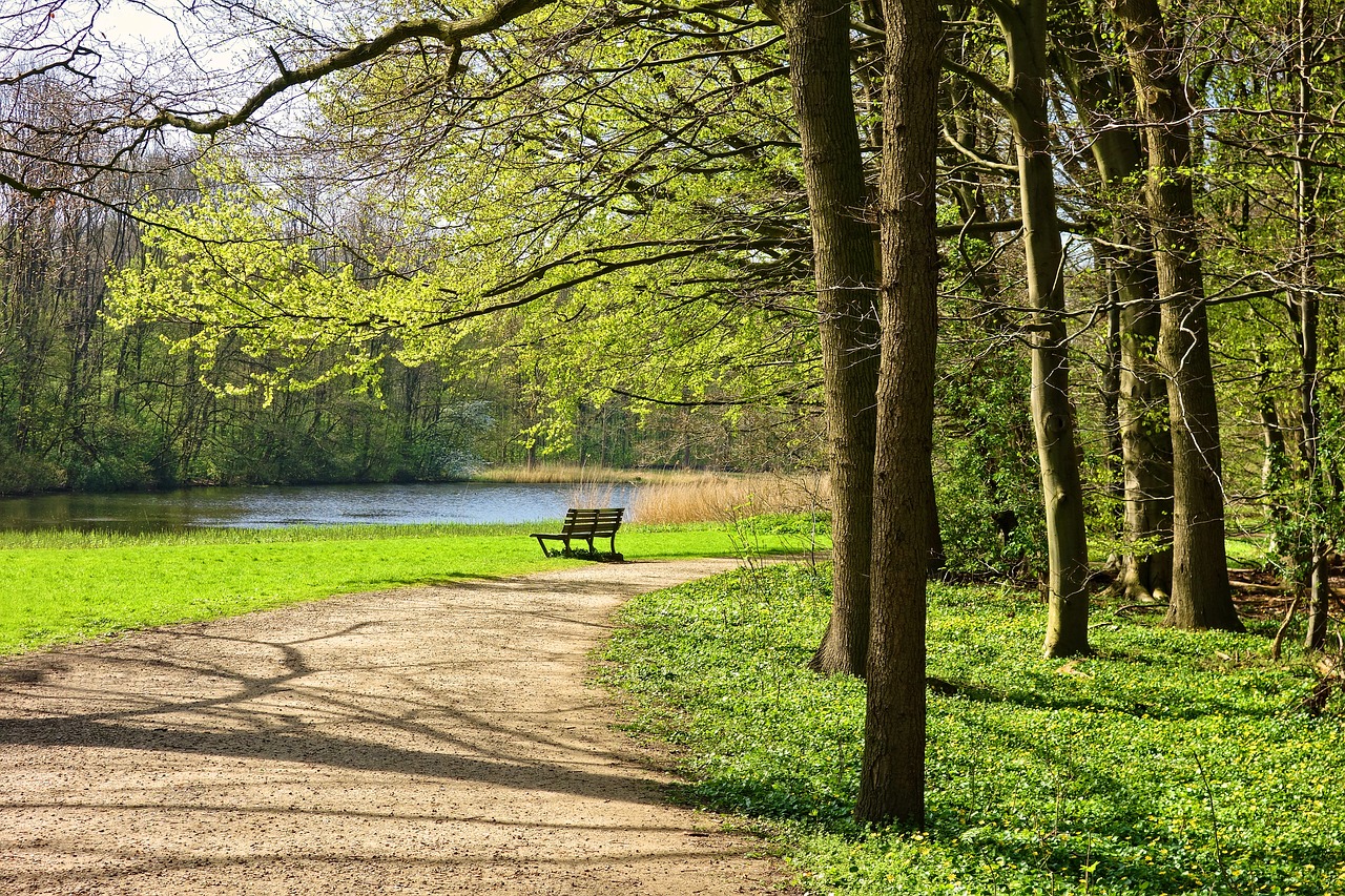 o pino tranquilidad y naturaleza a un paso de santiago 8