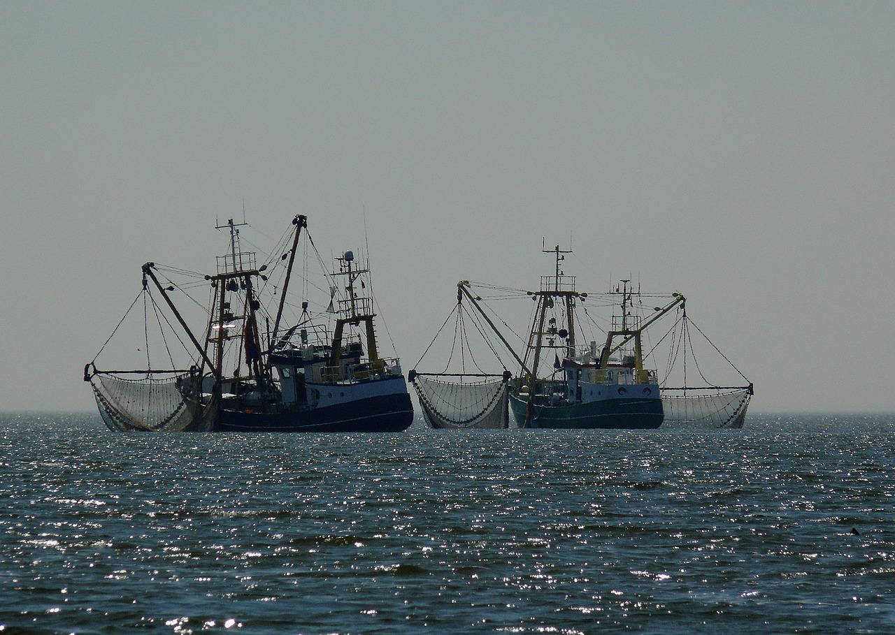 sada fishing port in the ria de a coruna 10