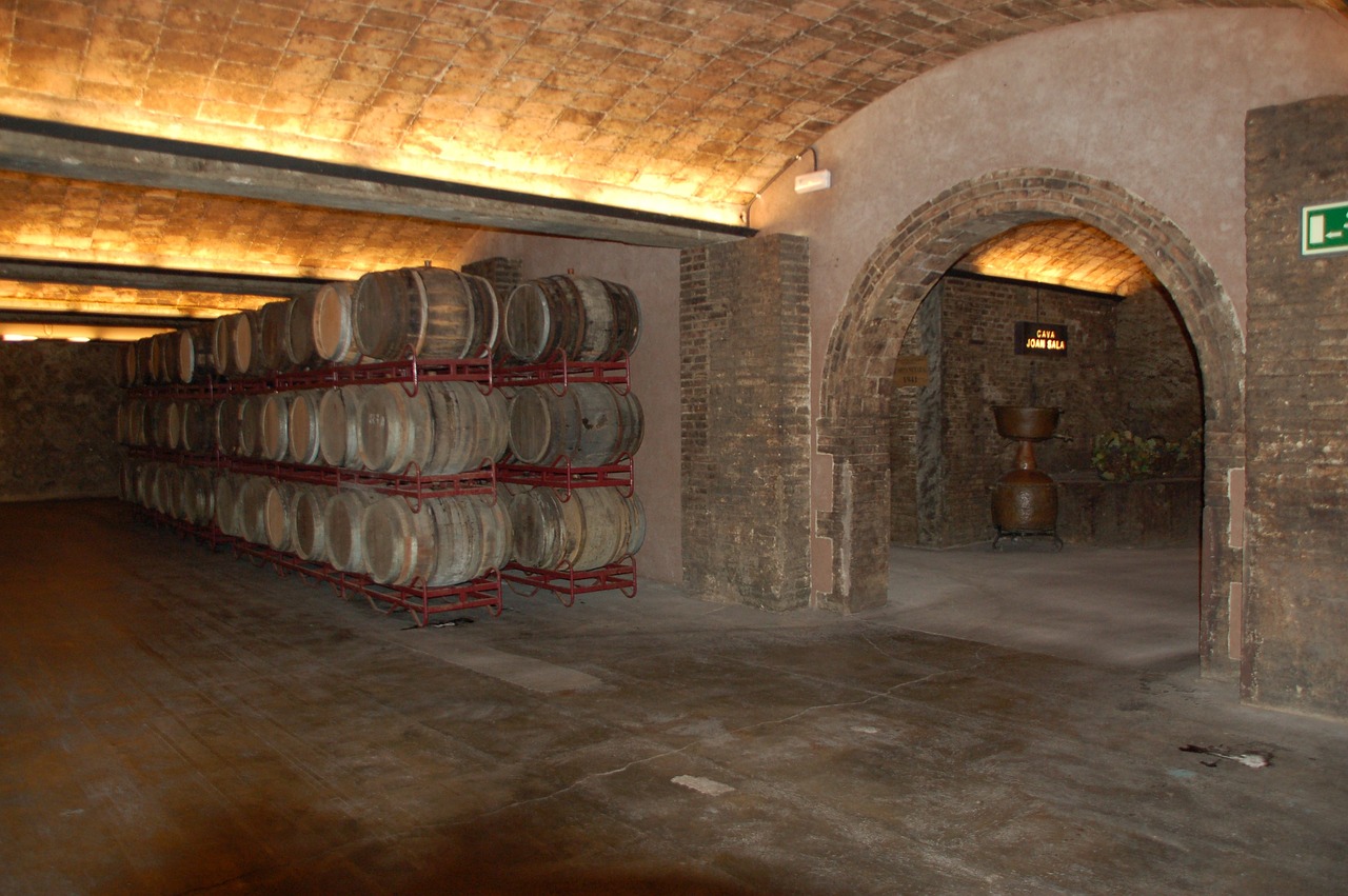 samaniego birthplace of chacoli and underground wineries 8