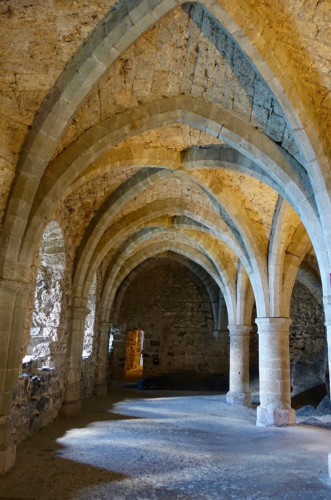 san millan de la cogolla tambien conocido como donemiliaga es un monasterio medieval que ha sido declarado patrimonio de la humanidad 10