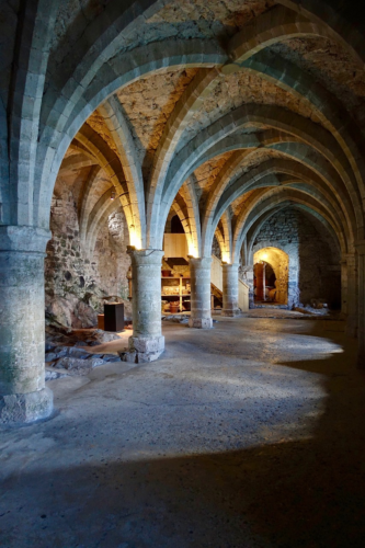 sobrado a coruna medieval monastery in a natural setting 11