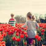 10 actividades para ver y hacer en Andújar con niños en una semana