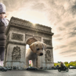 10 cosas que ver y hacer en París con niños en 7 días