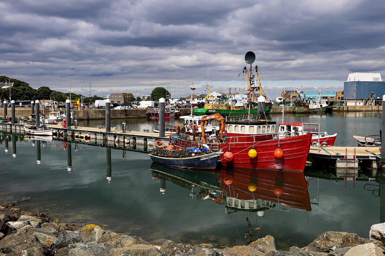 10 things to see and do in howth with kids in one week