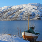 6 Cosas para Disfrutar y Ver en Tromsø con Niños en 7 Días