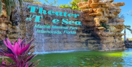 7 activities to do and see in islamorada with kids in one week