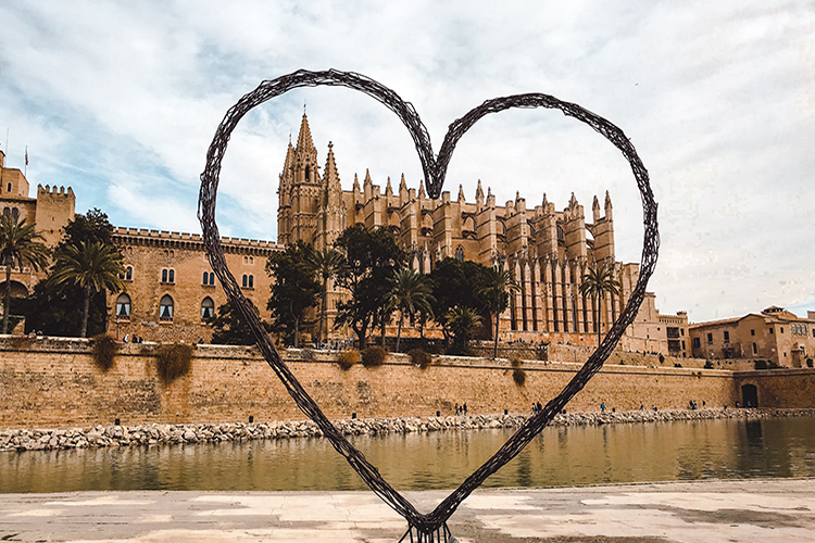 7 cosas para disfrutar y ver en alcudia con ninos en 7 dias