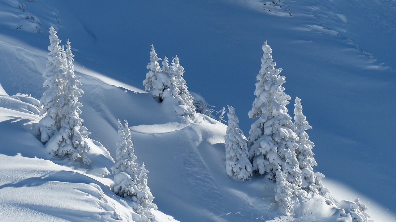 7 cosas para disfrutar y ver en grandvalira con tus hijos en una semana 3