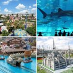 7 cosas que ver y hacer en Estambul con niños en una semana