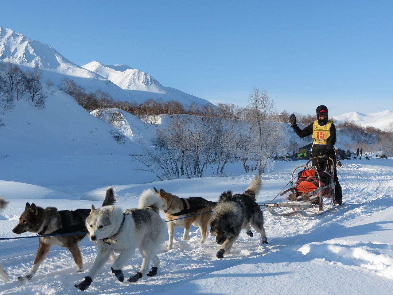 8 actividades que puedes ver y disfrutar en alaska con ninos en una semana 2