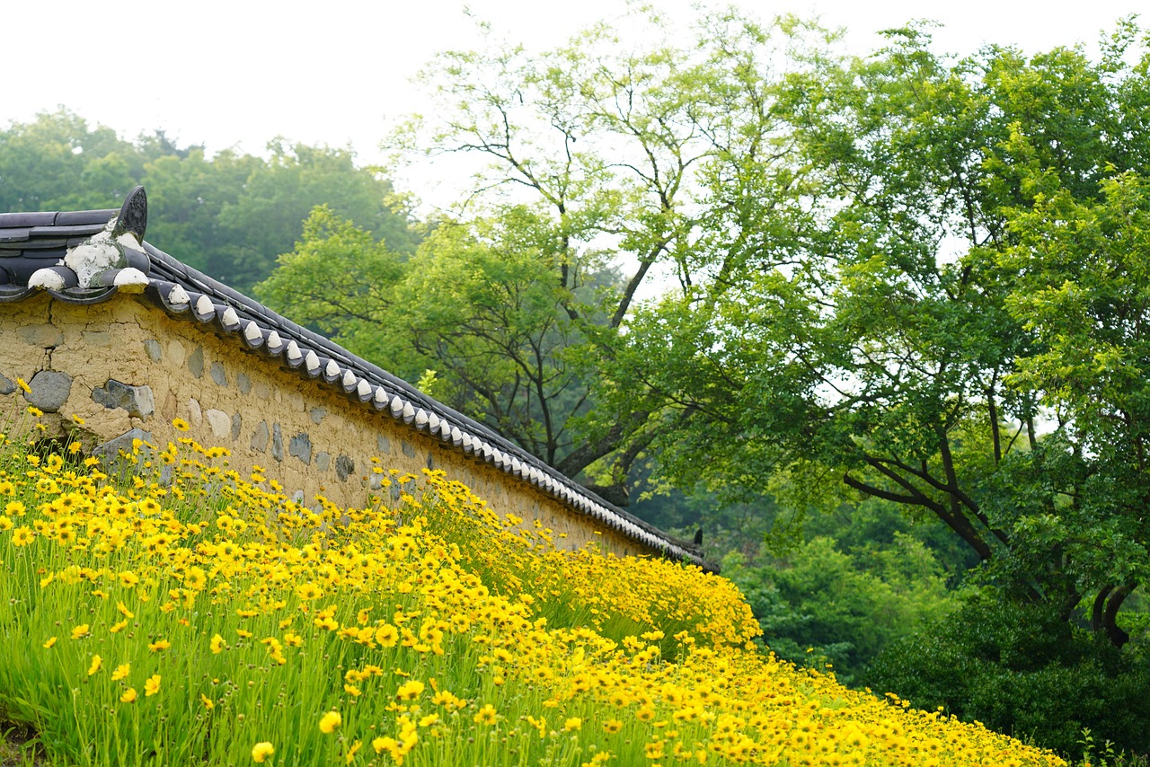 8 things to do and see in gyeongju with kids in one week 1