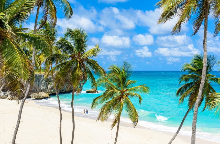 9 actividades para ver y hacer en barbados con ninos en una semana