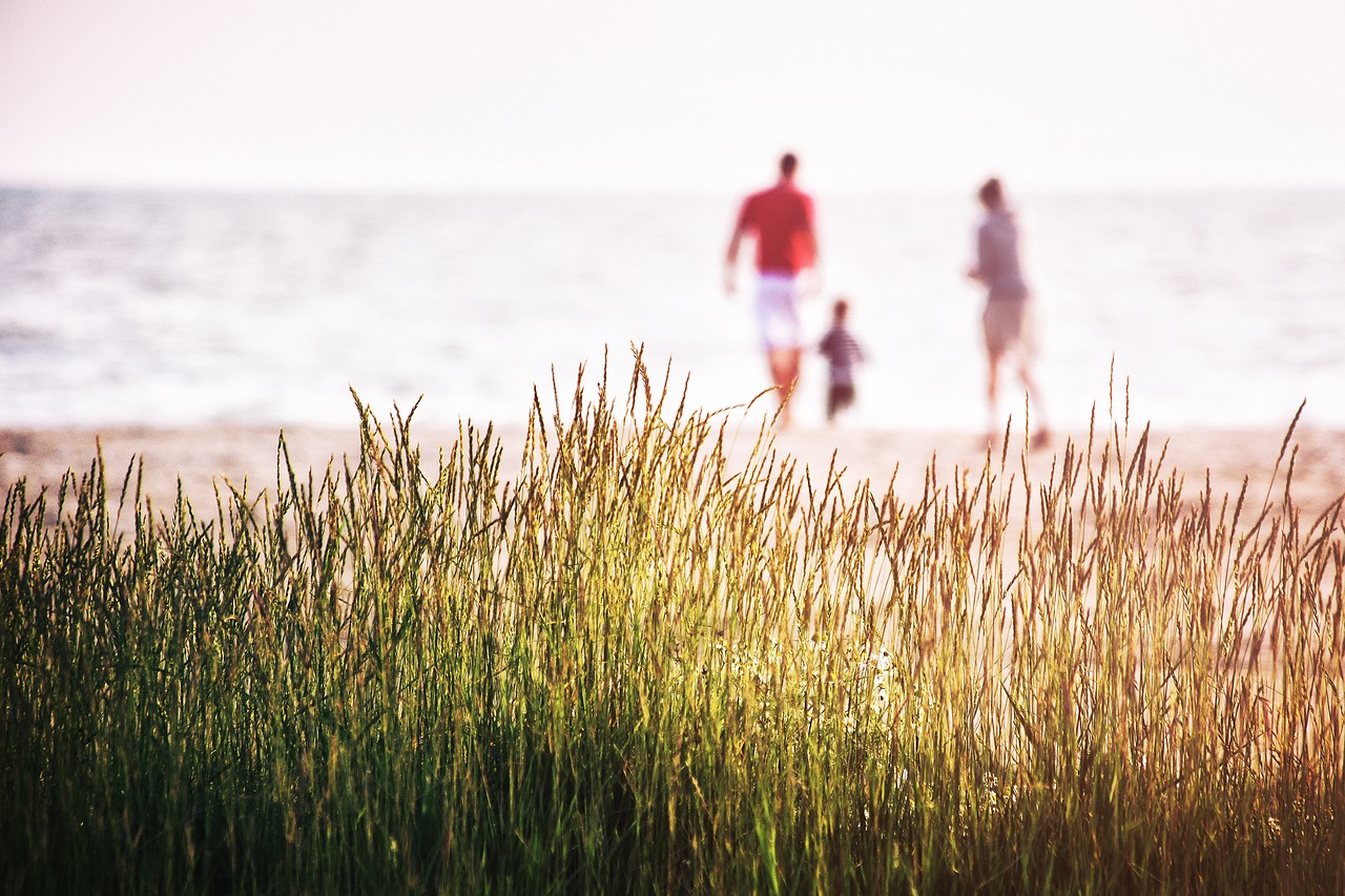 9 cosas que puedes hacer y disfrutar en el alentejo con ninos en una semana 2