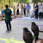 7 actividades para disfrutar y avistar águilas con niños en 7 días