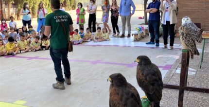 7 actividades para disfrutar y avistar aguilas con ninos en 7 dias 1