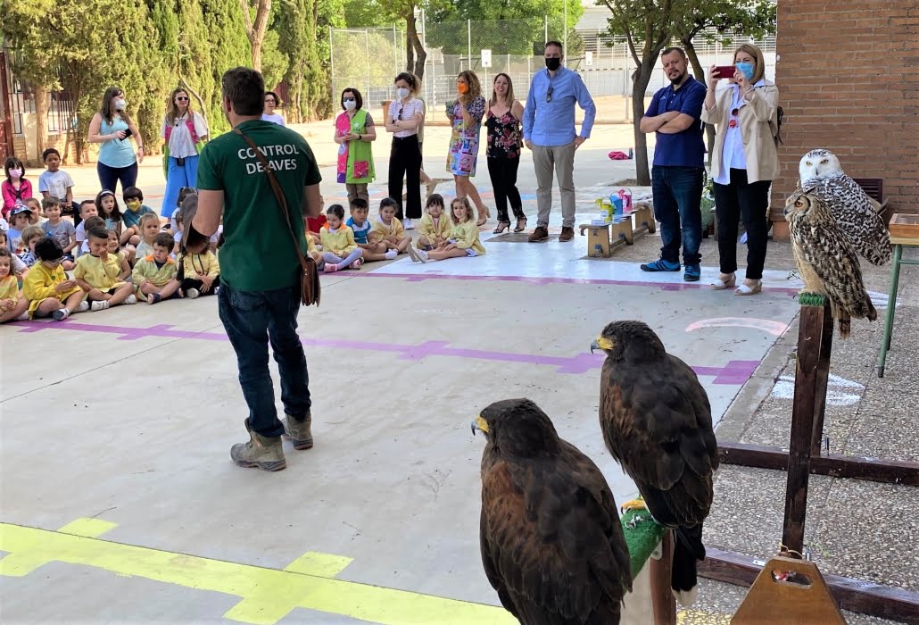 7 actividades para disfrutar y avistar aguilas con ninos en 7 dias 1