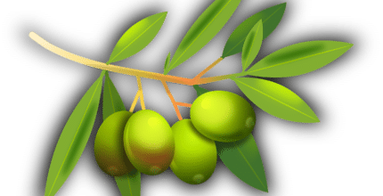 abla tierra de olivos y huertos fertiles 5