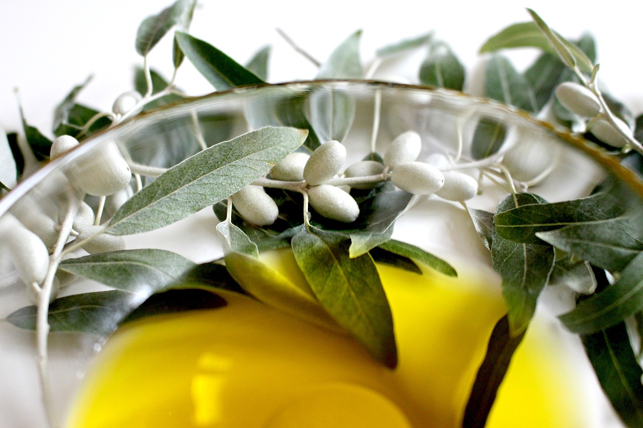 alicun entre vinedos y olivares nace el mejor aceite 3